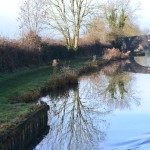 Ashby Reflections